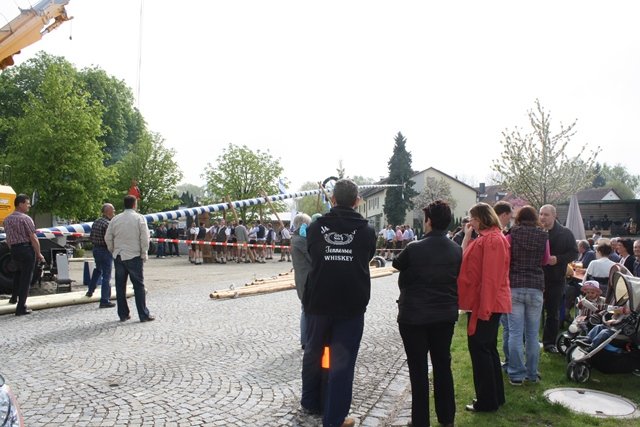 Maibaum 2013